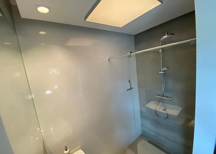 The Secretary's In Oliva *